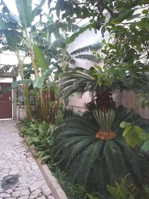Bilocale In Giardino Apartman Casa Santa  0*, Casa Santa (Trapani)